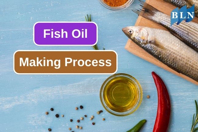 Fish Oil Making Process Short Explanation